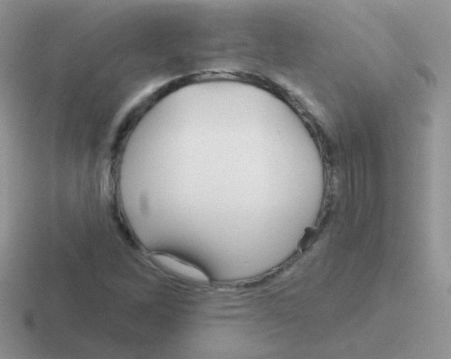 X0000116591262201001071227