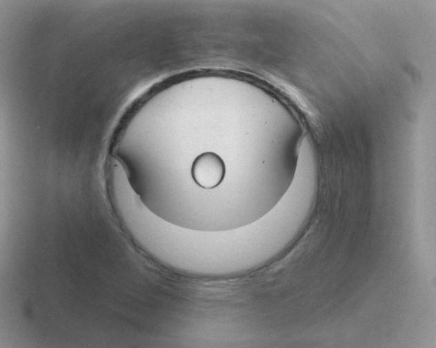 X0000116591264201001071227