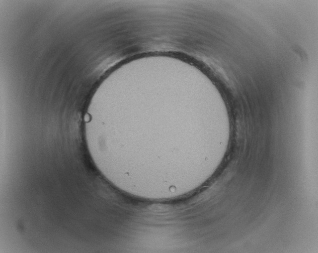 X0000116591265201001071227