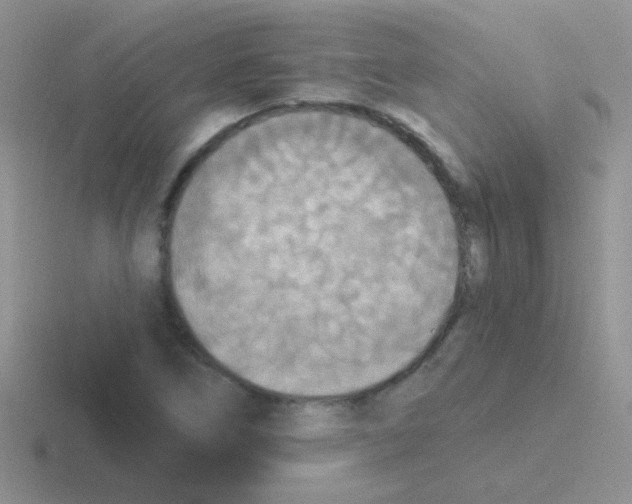 X0000116591266201001071227