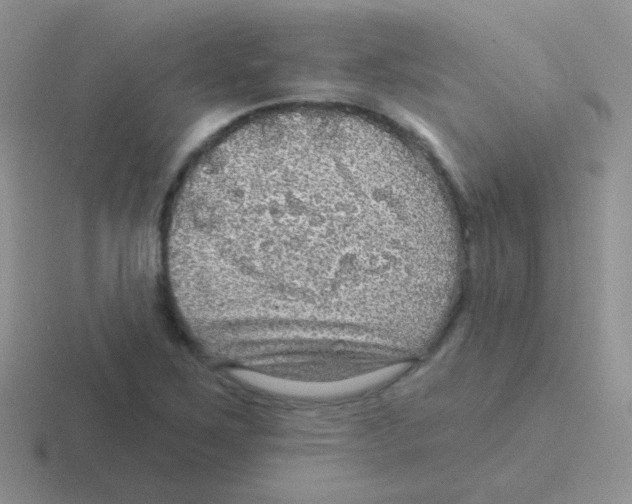 X0000116591267201001071227