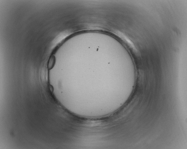 X0000116591269201001071227