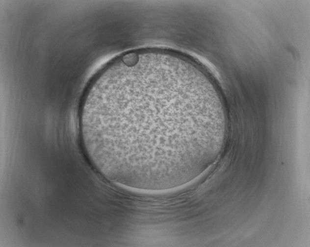 X0000116591271201001071227