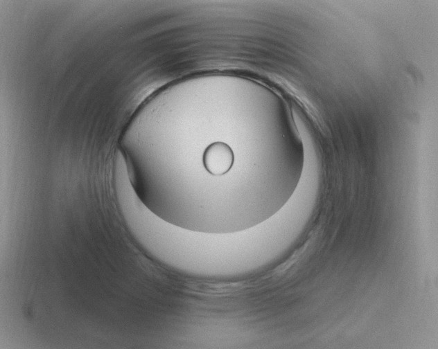 X0000116591273201001071227