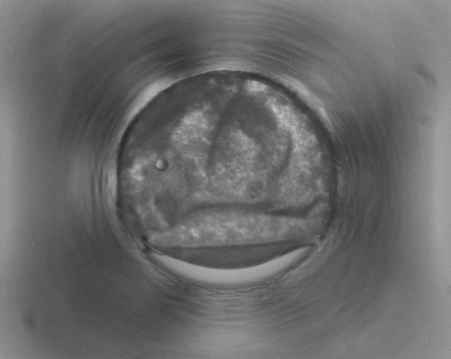 X0000116591274201001071227