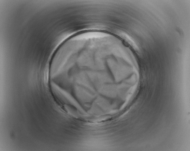 X0000116591276201001071227