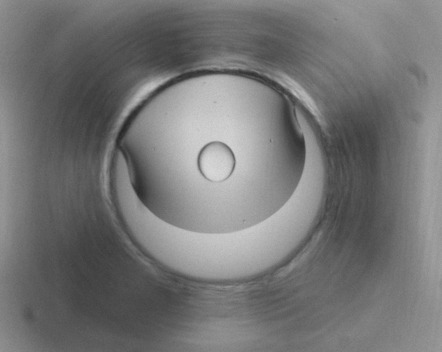 X0000116591277201001071227