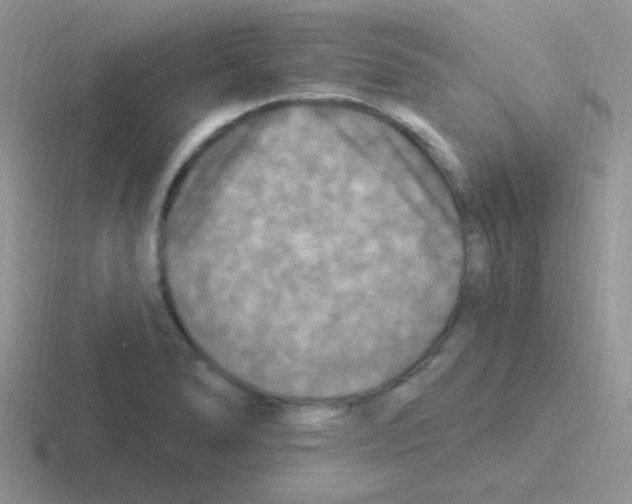 X0000116591278201001071227