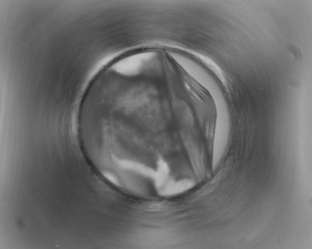 X0000116591279201001071227