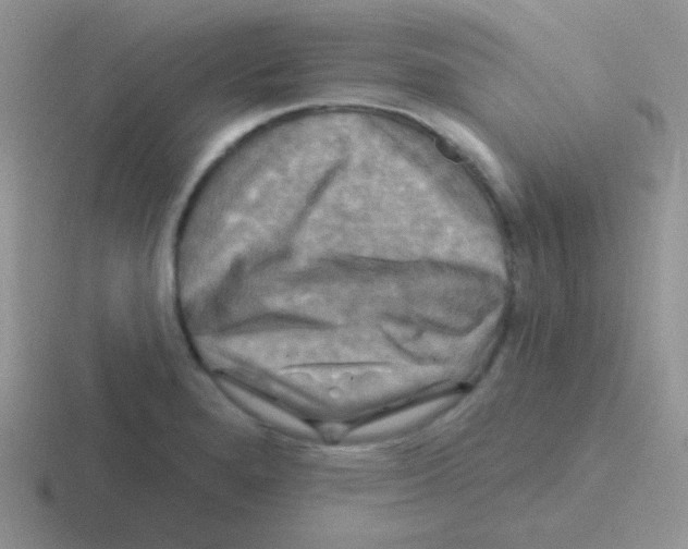 X0000116591280201001071227