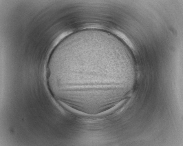 X0000116591282201001071227