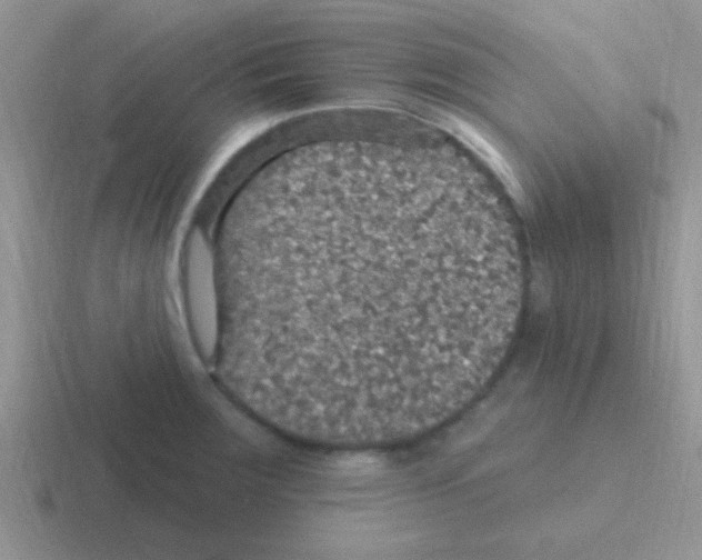 X0000116591283201001071227