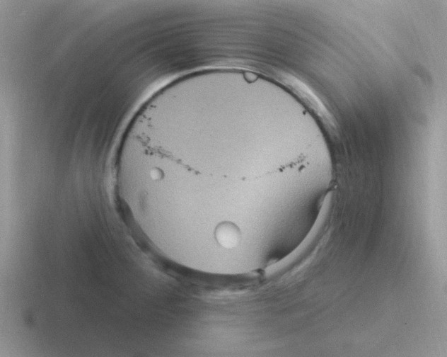 X0000116591284201001071227