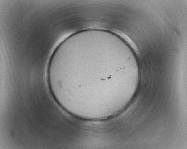 X0000116591285201001071227