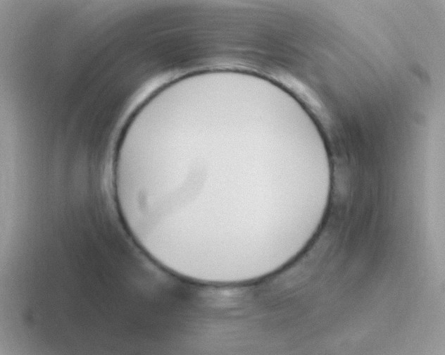 X0000116591286201001071227