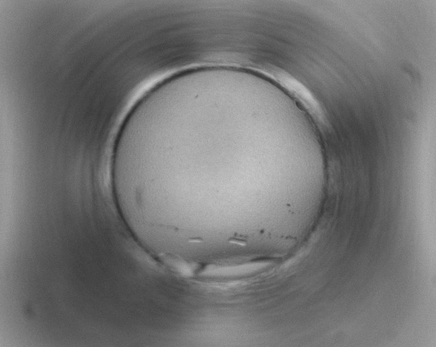 X0000116591288201001071227