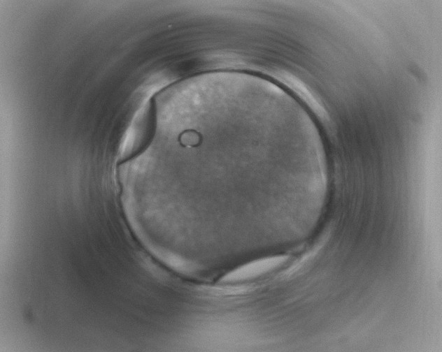 X0000116591289201001071226