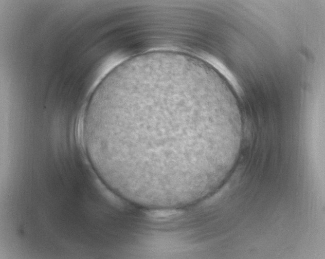 X0000116591290201001071226