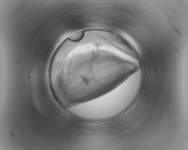 X0000116591291201001071226