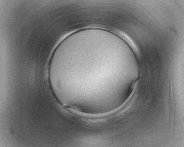 X0000116591292201001071226