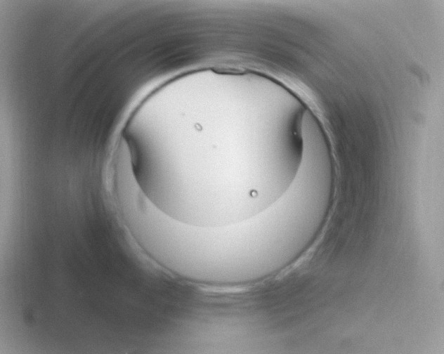 X0000116591296201001071226