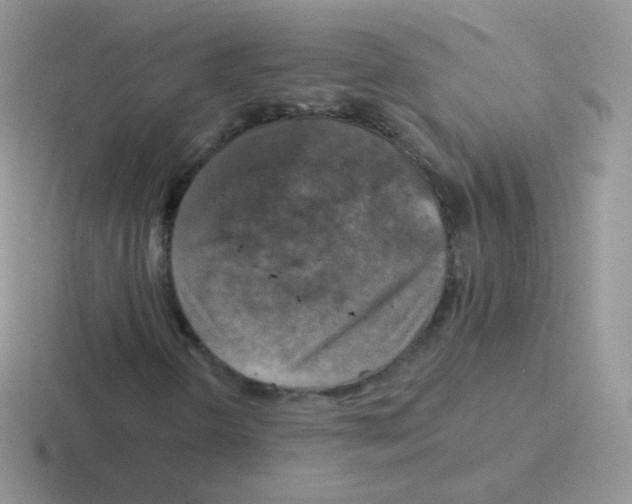 X0000116591298201001071226