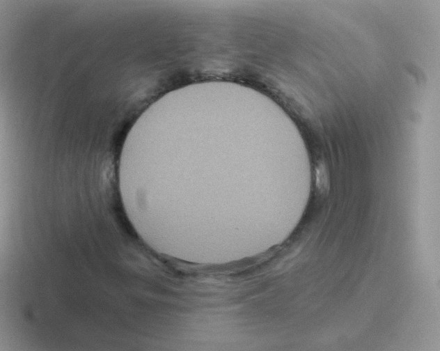 X0000116591299201001071226