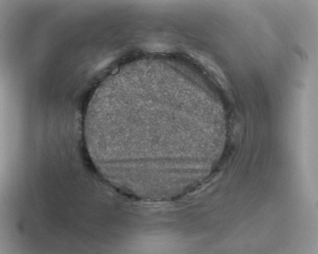 X0000116591301201001071226