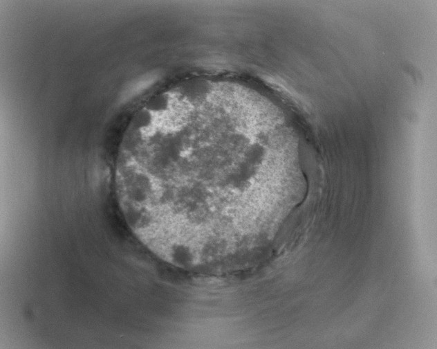 X0000116591302201001071226