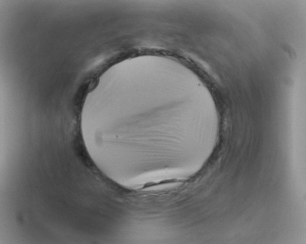 X0000116591303201001071226