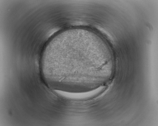 X0000116591305201001071226