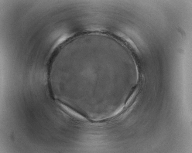 X0000116591306201001071226