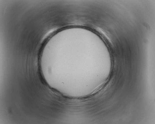 X0000116591307201001071226