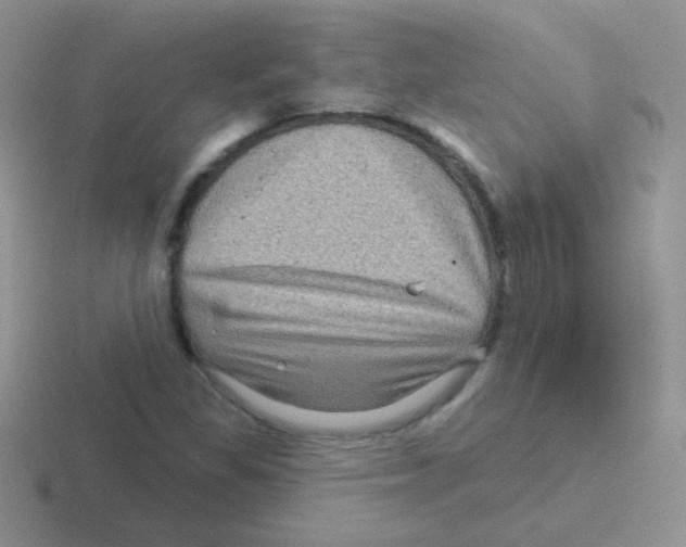 X0000116591309201001071226