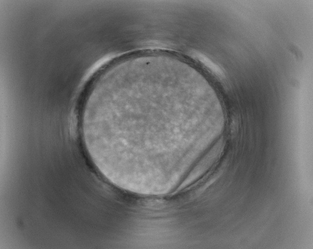 X0000116591310201001071226