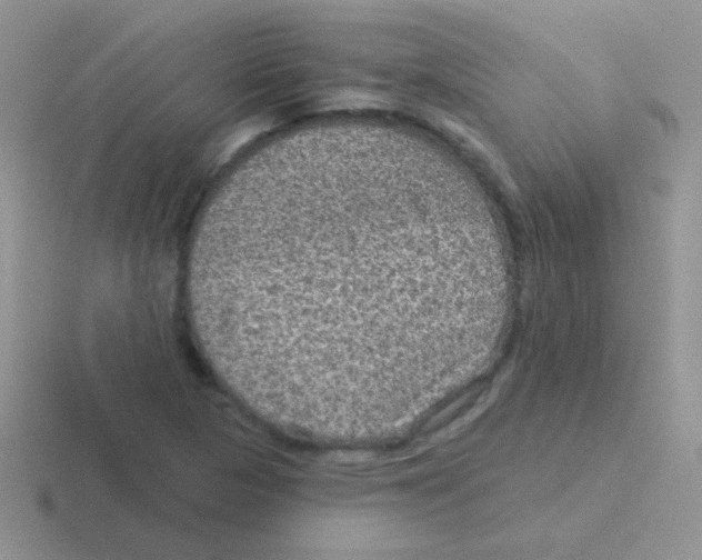 X0000116591313201001071226