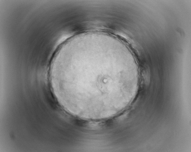 X0000116591314201001071226