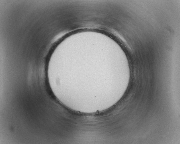 X0000116591315201001071226