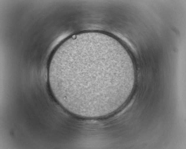 X0000116591317201001071226