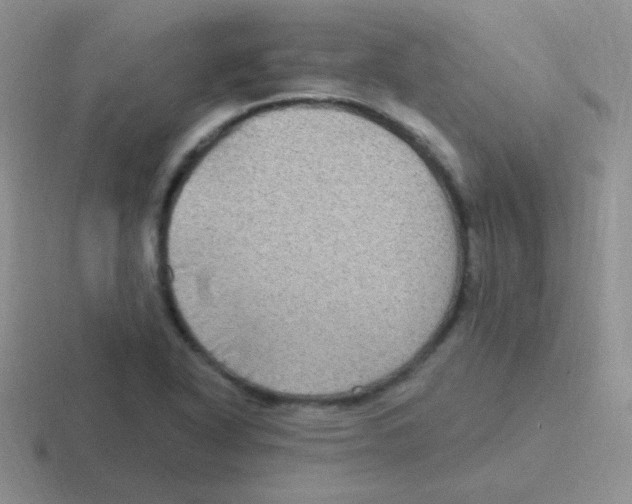 X0000116591318201001071226