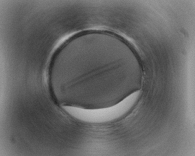 X0000116591319201001071226