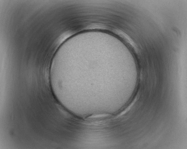 X0000116591321201001071226