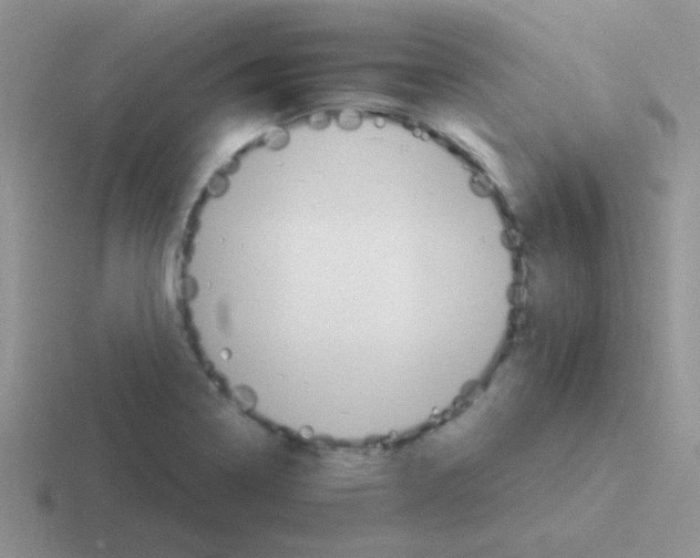 X0000116591322201001071226