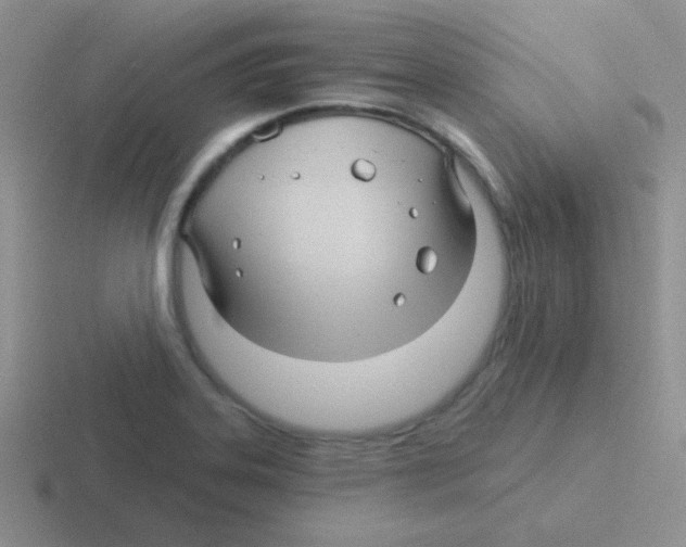 X0000116591323201001071226