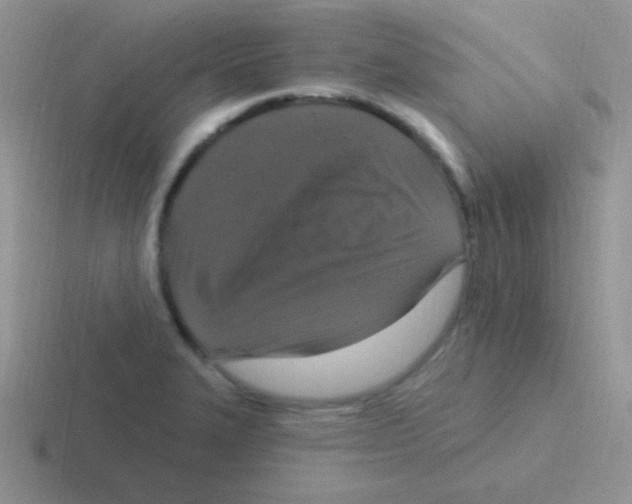 X0000116591327201001071226