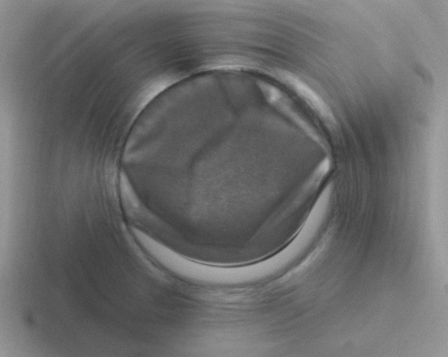 X0000116591329201001071226