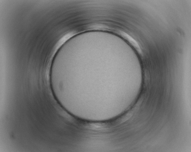 X0000116591330201001071226