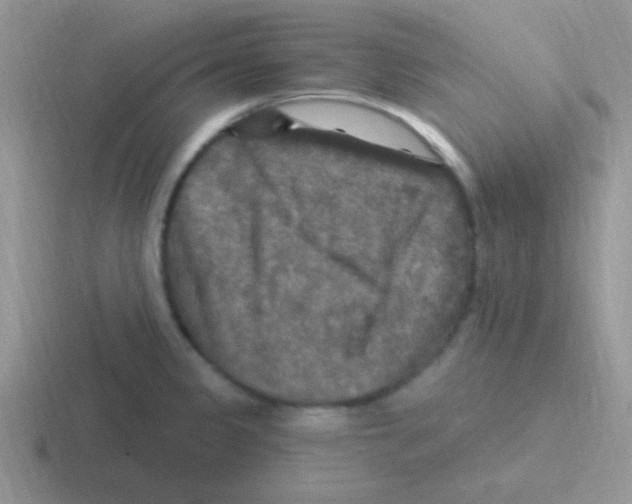 X0000116591333201001071226