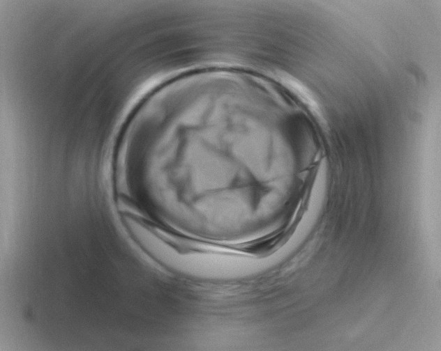 X0000116591334201001071226