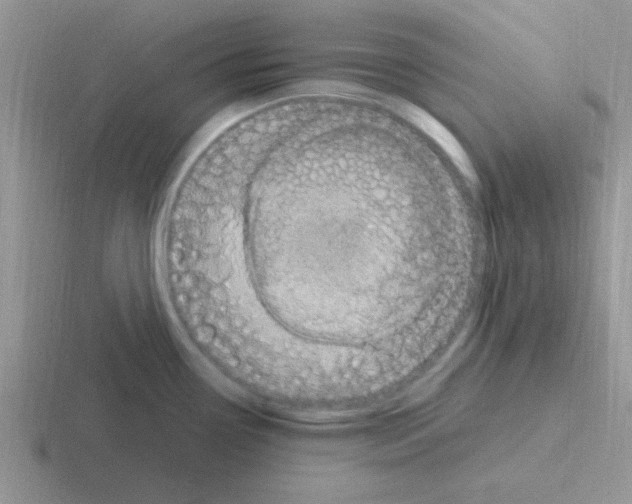 X0000116591338201001071226